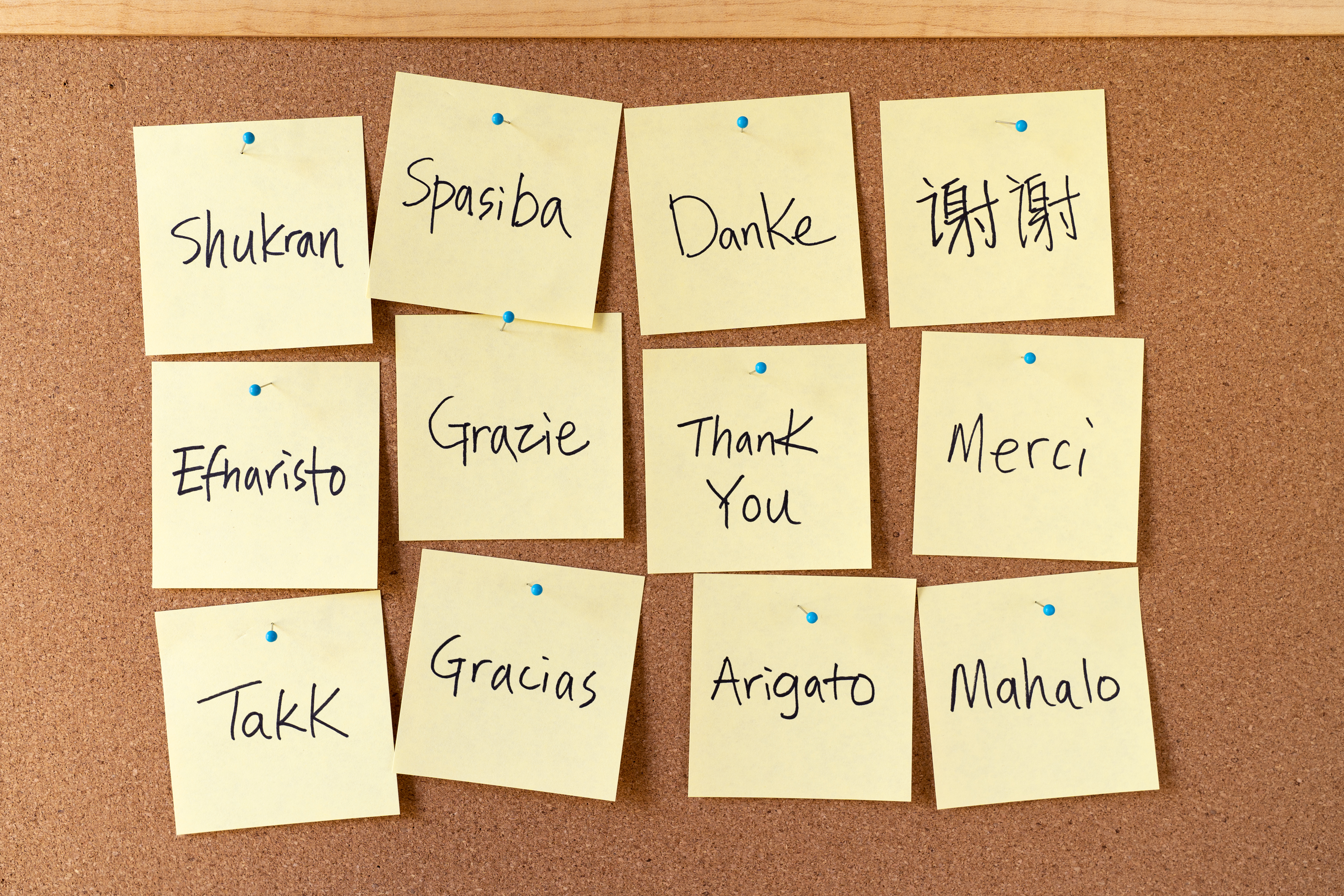 "Thank you" written in different languages on sticky notes that are stuck to a corkboard.